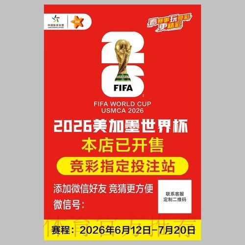 世界杯投注深度解读：从入口信息到实用攻略